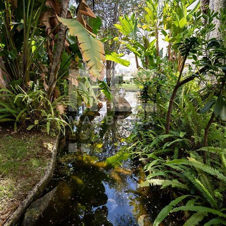 Amazing Apartment ,Center Of Marbella, Beach 338 المظهر الخارجي الصورة